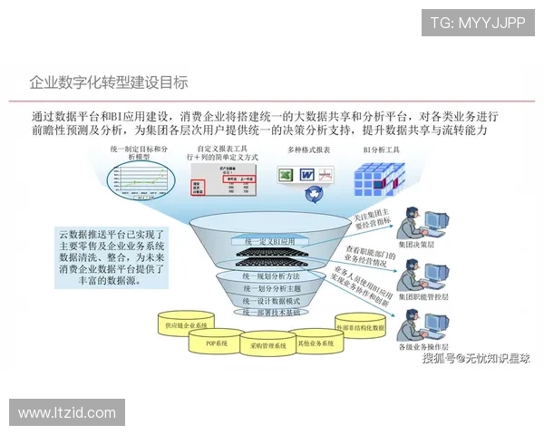 现代企业家如何在数字化转型浪潮中把握机遇与挑战实现可持续发展
